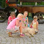 Kürschner Drebach