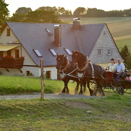 Апартаменты Kuerschner Drebach