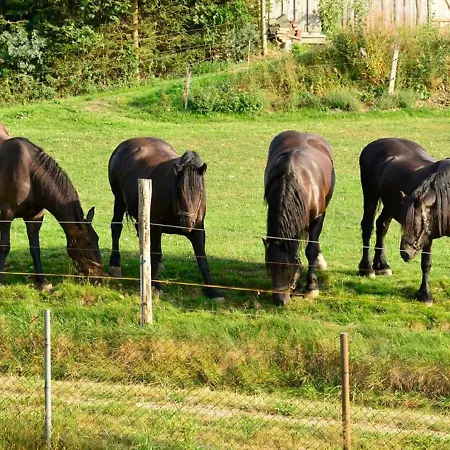 Kuerschner Апартаменты Drebach