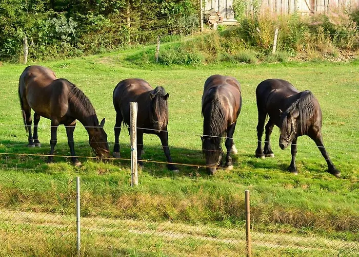 Kuerschner Апартаменты Drebach