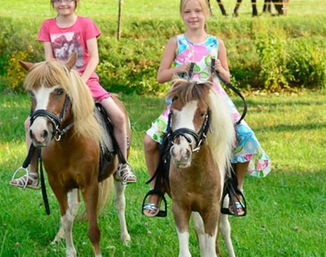 Апартаменты Kuerschner *